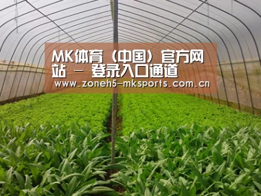 种植基地四