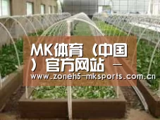 环境展示五