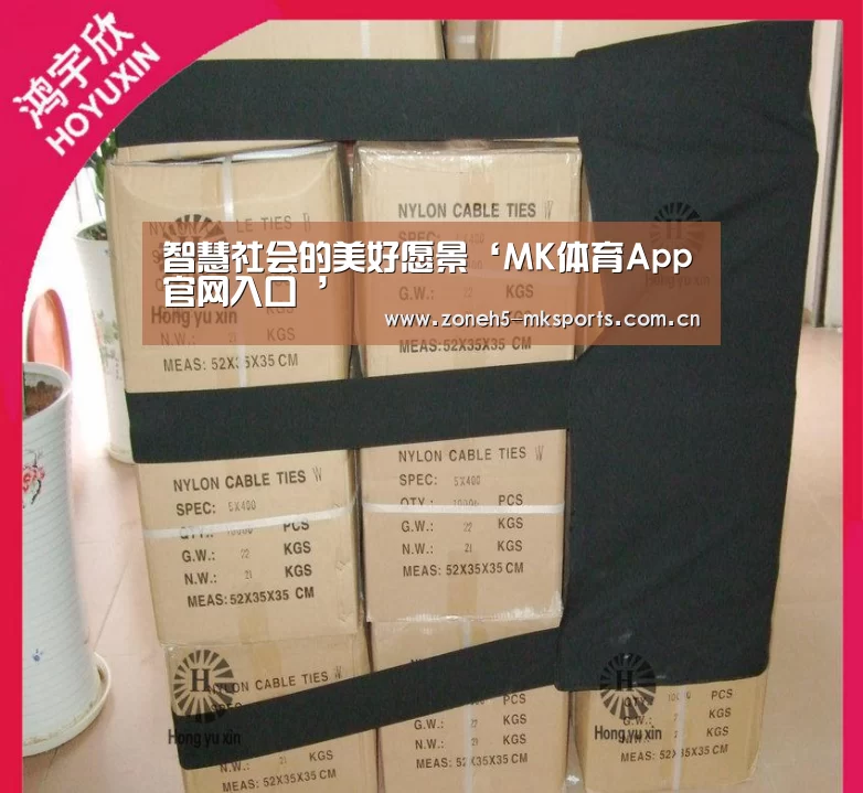 智慧社会的美好愿景‘MK体育App官网入口 ’(图2) MK体育