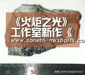 《火炬之光》工作室新作《Hob》新宣传预告公开:MK体育App官网入口 (图2) MK体育App官网入口