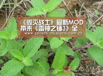  MK体育