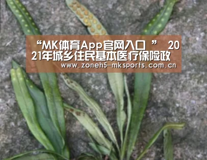 “MK体育App官网入口 ”
2021年城乡住民基本医疗保险政策指南(图2) MK体育