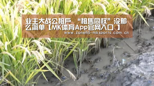 MK体育App官网入口 